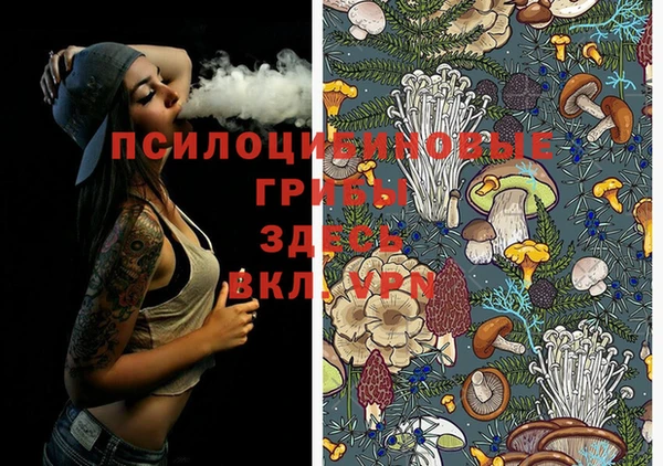 спиды Новозыбков