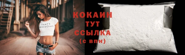 ALPHA PVP Чердынь