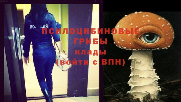 дмт Нефтекумск
