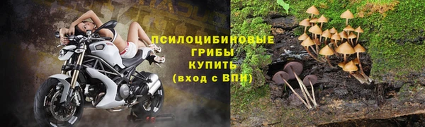 дурь Чегем